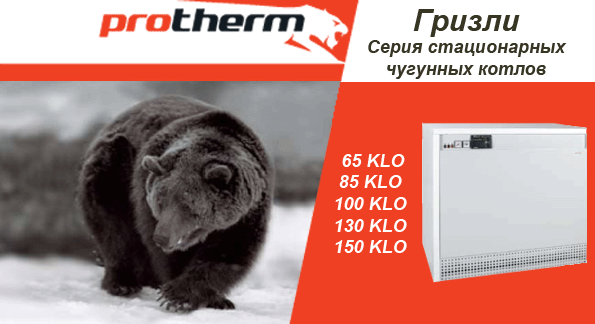 Protherm Grizzly купить в Москве